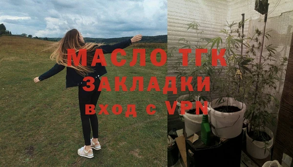 гидра Верхний Тагил