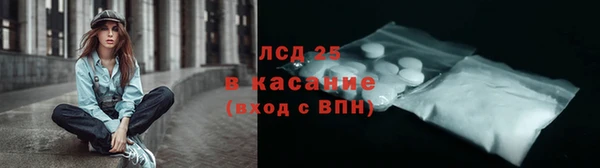 гидра Верхний Тагил