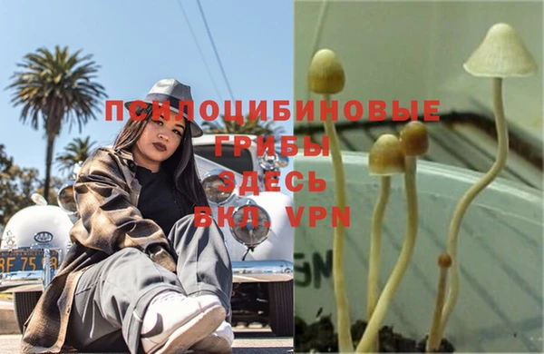 таблы Верея