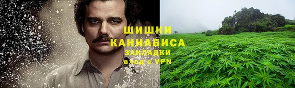 гидра Верхний Тагил