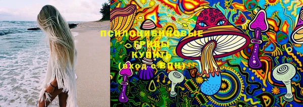 гидра Верхний Тагил